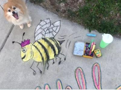 Bee and dog on feel good Friday